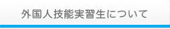 外国人技能実習生について