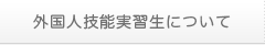 外国人技能実習生について